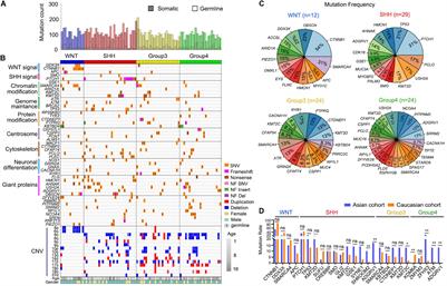 Genomic and Transcriptomic Analyses Reveals ZNF124 as a Critical Regulator in Highly Aggressive Medulloblastomas